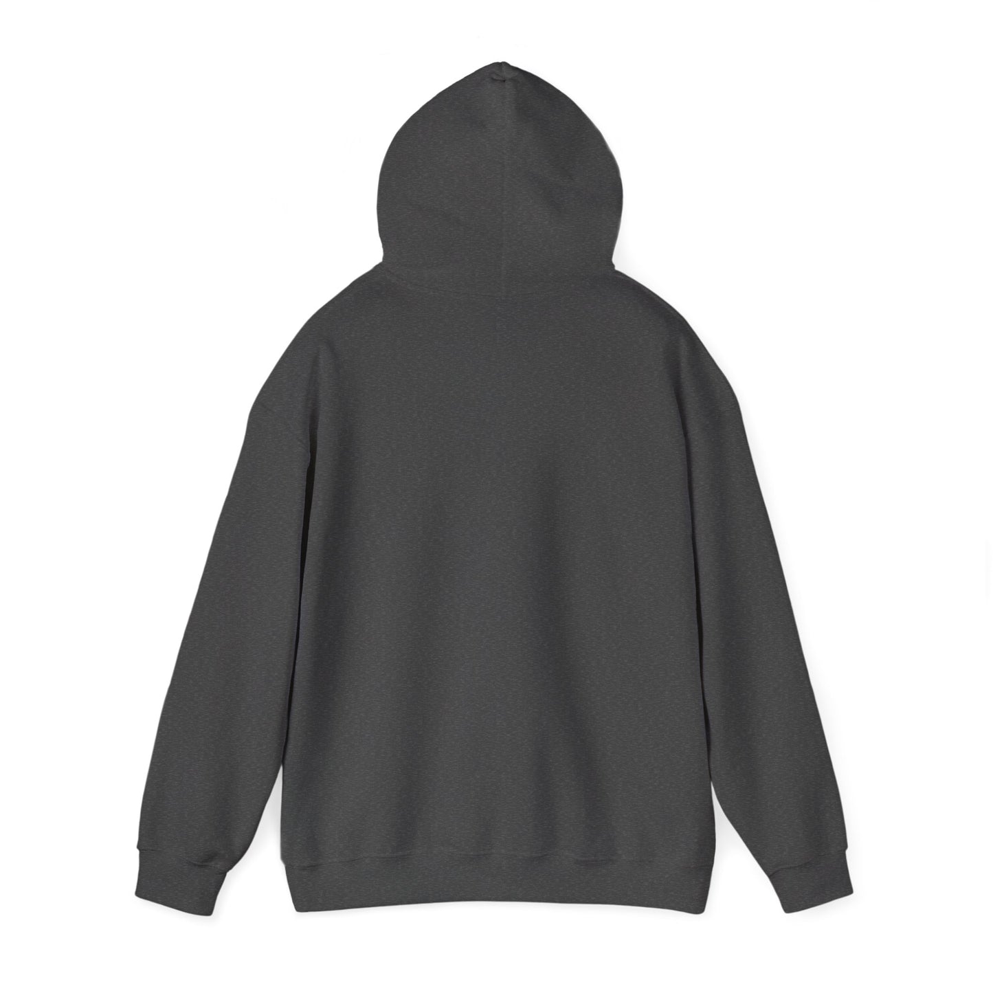 Hoodie — Retro Desert UFO Graphic Pullover