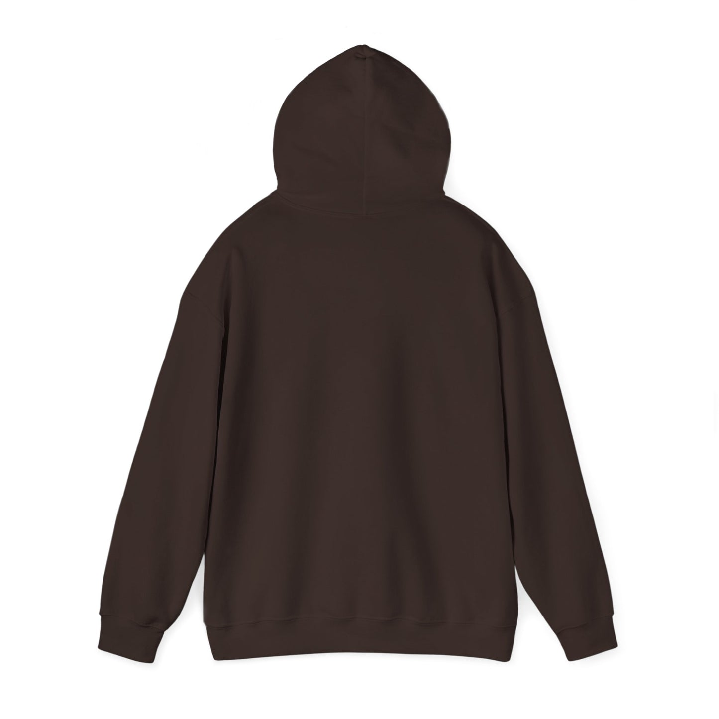Hoodie — Retro Desert UFO Graphic Pullover