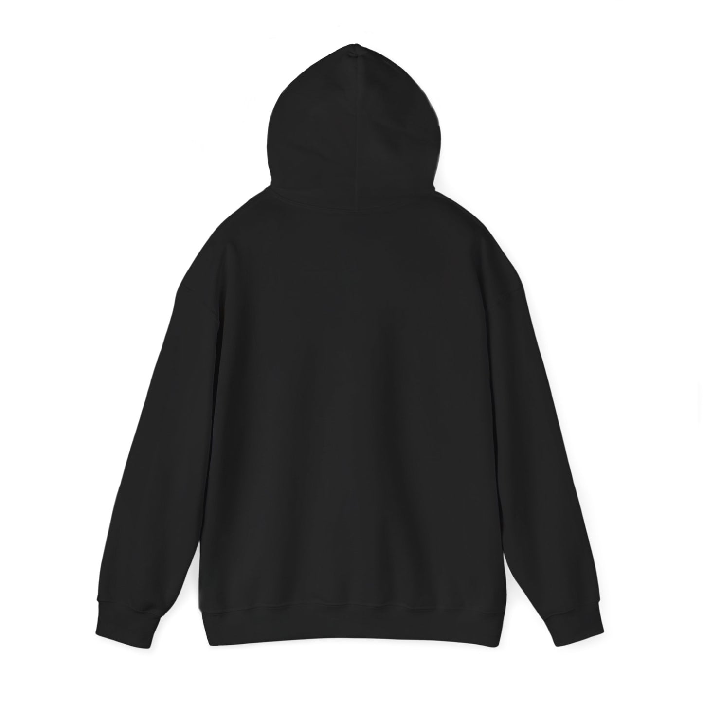 Hoodie — Retro Desert UFO Graphic Pullover
