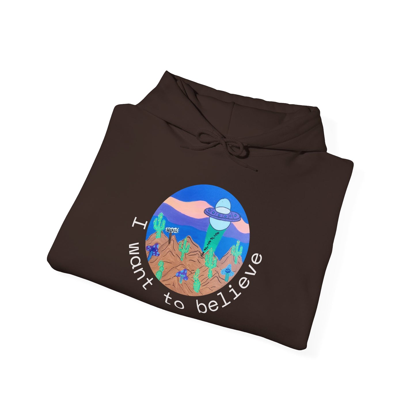 Hoodie - "I Want to Believe" UFO Alien Graphic Hoodie