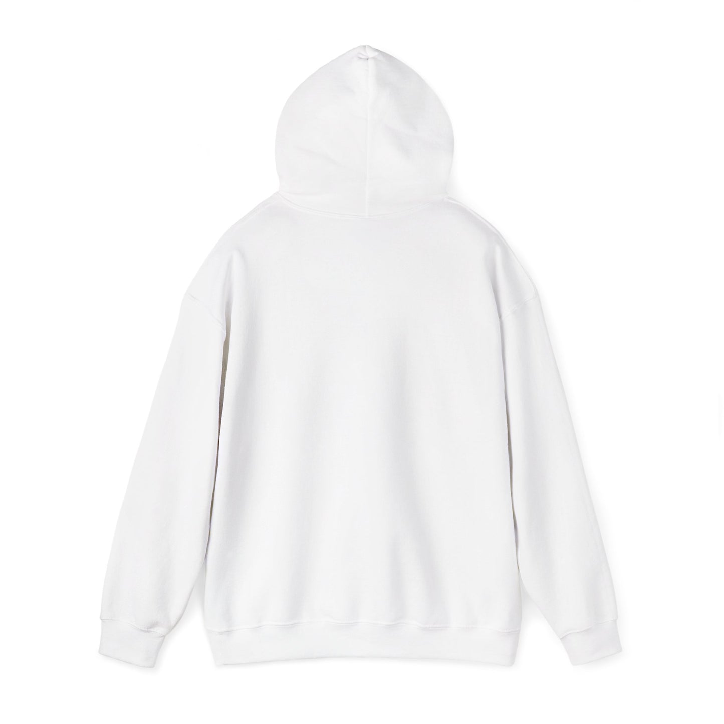 Hoodie — Retro Desert UFO Graphic Pullover