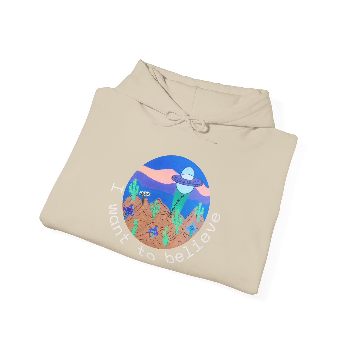 Hoodie - "I Want to Believe" UFO Alien Graphic Hoodie