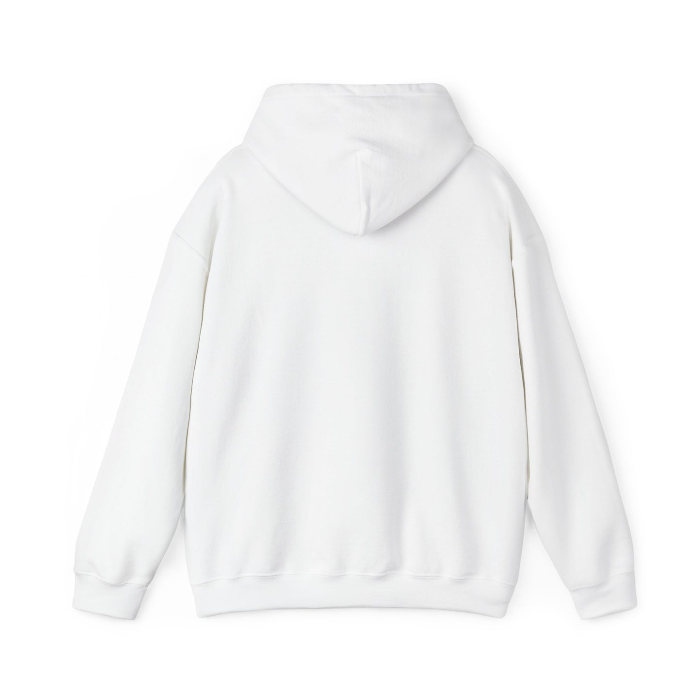 Hoodie — Retro Desert UFO Graphic Pullover