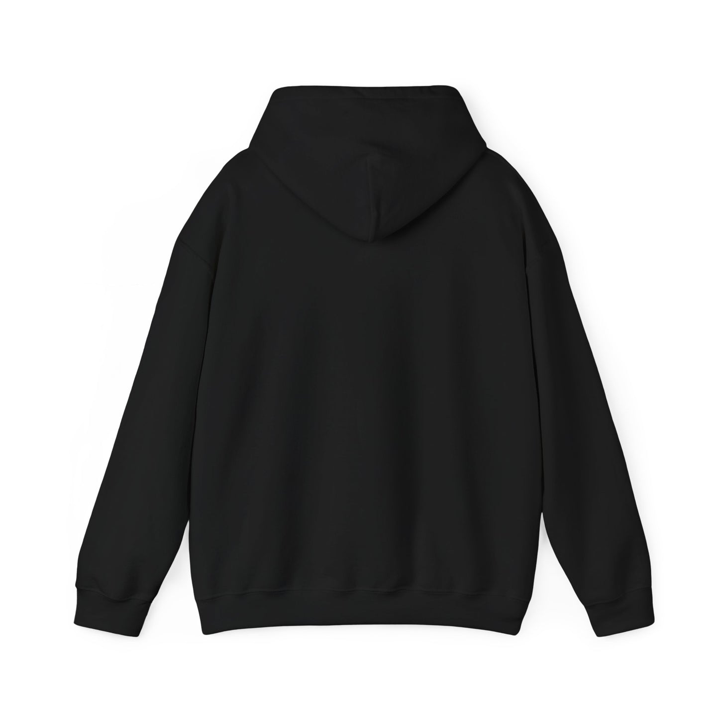 Hoodie — Retro Desert UFO Graphic Pullover