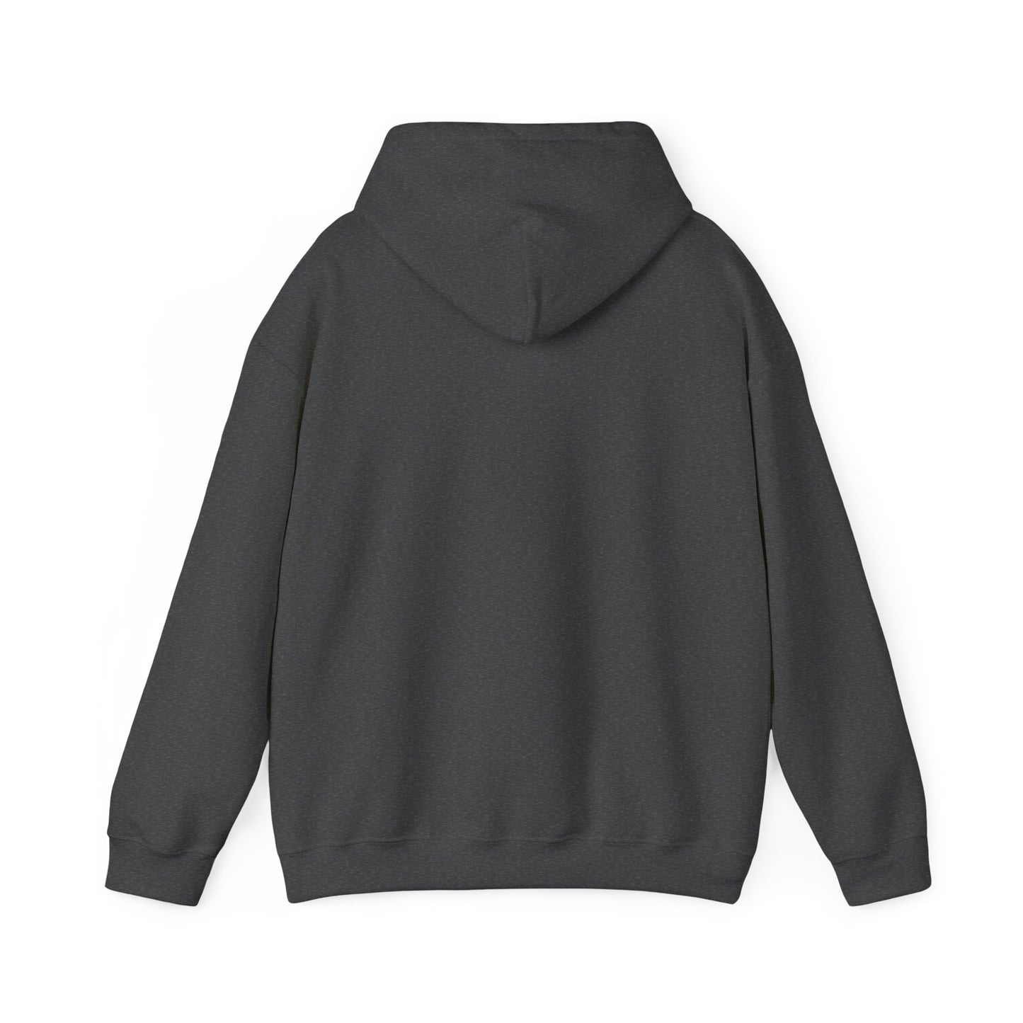 Hoodie — Retro Desert UFO Graphic Pullover