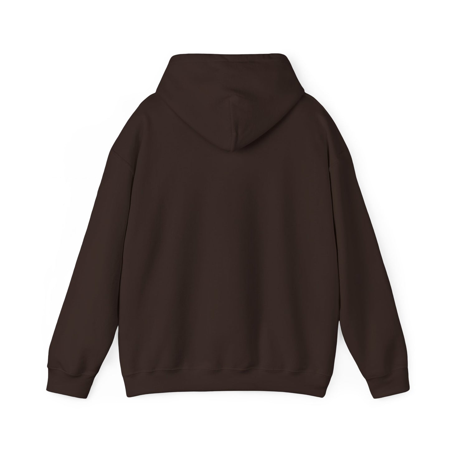 Hoodie — Retro Desert UFO Graphic Pullover