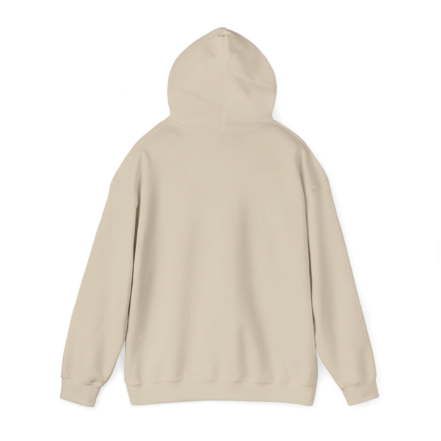 Hoodie - "I Want to Believe" UFO Alien Graphic Hoodie